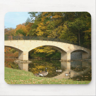 Rainbow Bridge i Fall på Grove City College Musmatta