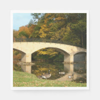 Rainbow Bridge i Fall på Grove City College
