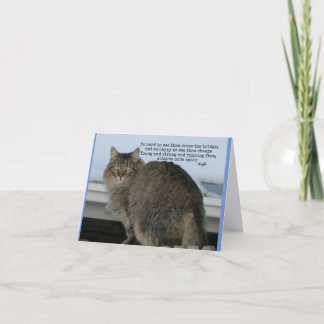 Rainbow Bridge - Katter Sympati dikt Kort