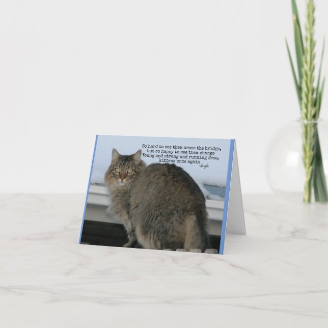 Rainbow Bridge - Katter Sympati dikt Kort (Framsida)