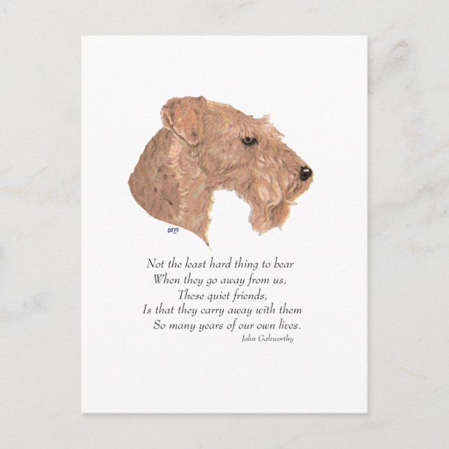 Rainbow Bridge Keepsaké Vykort (Framsida)