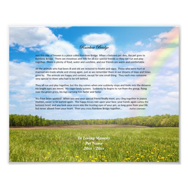 Rainbow Bridge MALE Hund Sympathy Photo Print Fototryck (Framsidan)