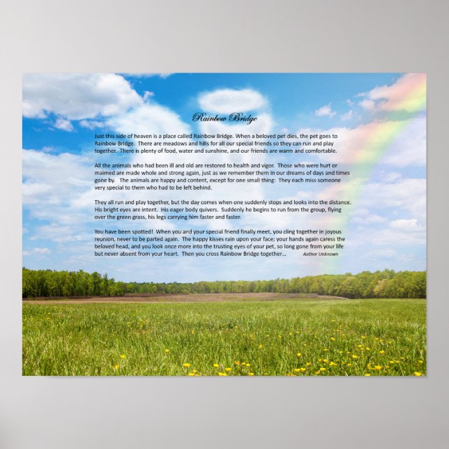 Rainbow Bridge Male Hund Sympathy Poster, Anpassni Poster (Framsidan)