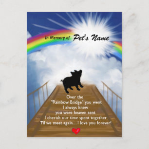 Rainbow Bridge Memorial Dikt för Grisar Vykort