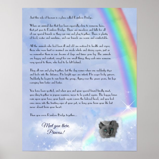 Rainbow Bridge Pet Loss (anpassade) Poster (Framsidan)