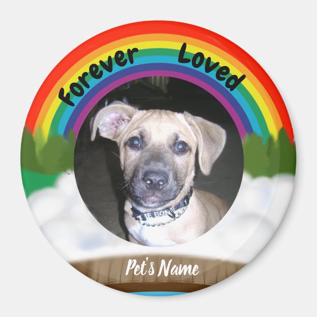 Rainbow Bridge Pet Loss Magnet (Framsidan)