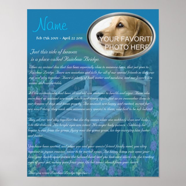 Rainbow Bridge Pet Memorial - Blue Poster (Framsidan)