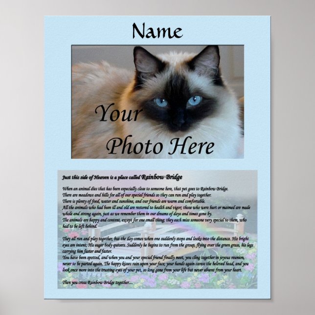 Rainbow Bridge Pet Memorial Blue Poster (Framsidan)
