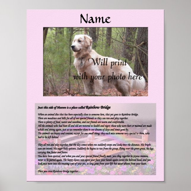Rainbow Bridge Pet Memorial Pink Poster (Framsidan)