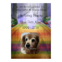 Rainbow Bridge Pet Memorial - Poster i minnet