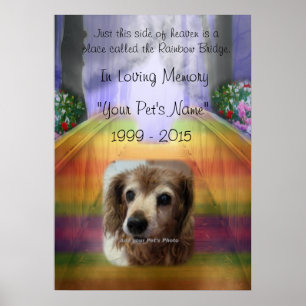 Rainbow Bridge Pet Memorial - Poster i minnet