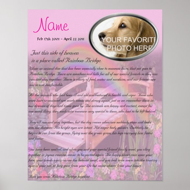 Rainbow Bridge Pet Memorial - Rosa Poster (Framsidan)