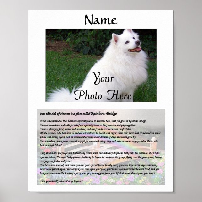 Rainbow Bridge Pet Memorial White Poster (Framsidan)