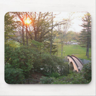 Rainbow Bridge Sunset på Grove City College Musmatta