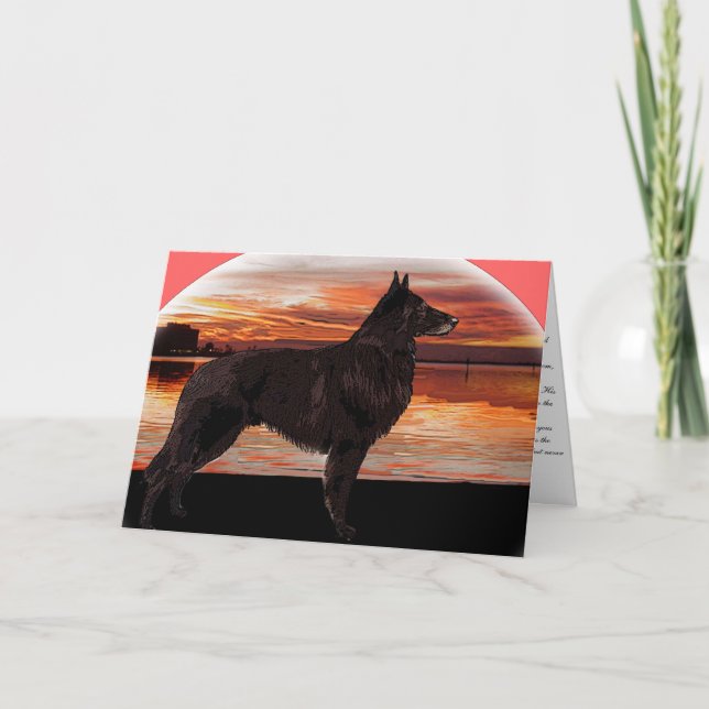 Rainbow Bridge Sympathy Card: Belgiska tervuren Kort (Framsida)