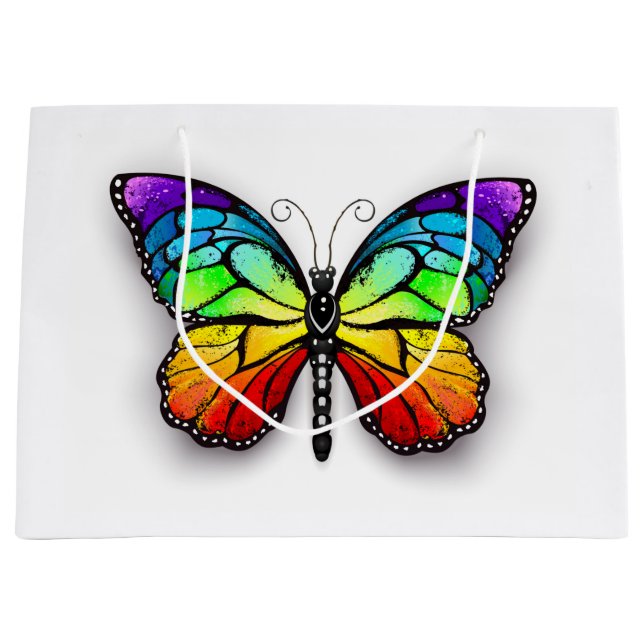 Rainbow butterfly Monarch (Framsidan)