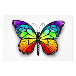 Rainbow butterfly Monarch Fototryck