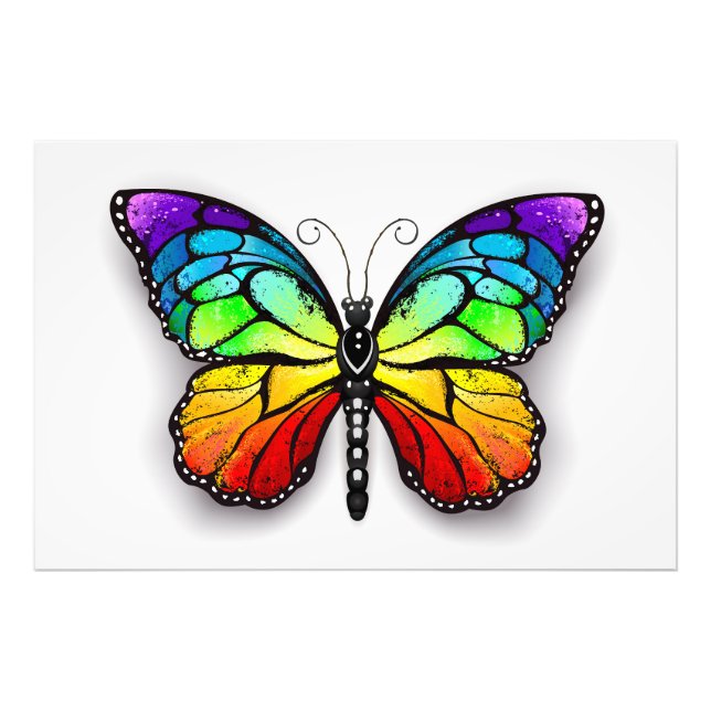 Rainbow butterfly Monarch Fototryck (Framsidan)