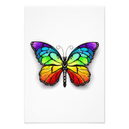 Rainbow butterfly Monarch Fototryck