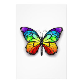 Rainbow butterfly Monarch Fototryck