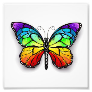 Rainbow butterfly Monarch Fototryck