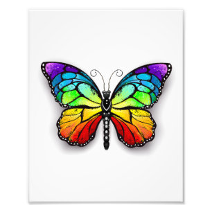 Rainbow butterfly Monarch Fototryck