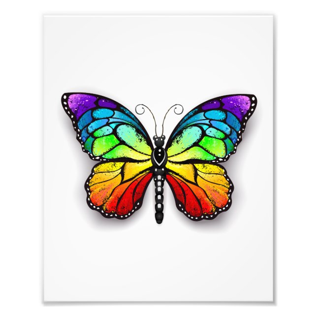 Rainbow butterfly Monarch Fototryck (Framsidan)