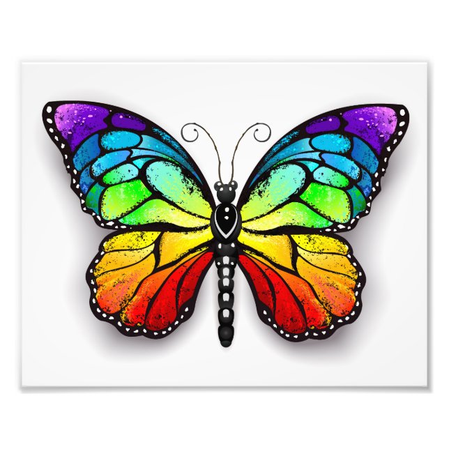 Rainbow butterfly Monarch Fototryck (Framsidan)