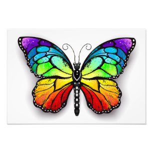 Rainbow butterfly Monarch Fototryck