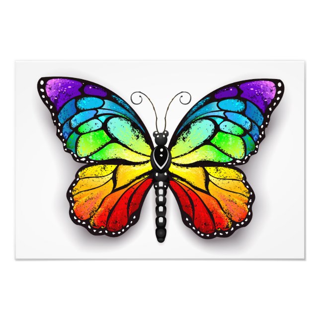 Rainbow butterfly Monarch Fototryck (Framsidan)