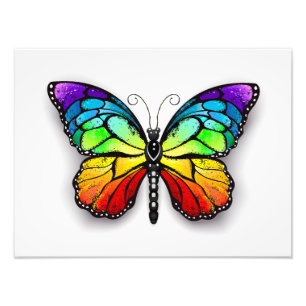 Rainbow butterfly Monarch Fototryck