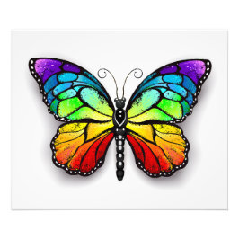 Rainbow butterfly Monarch Fototryck