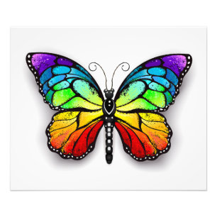 Rainbow butterfly Monarch Fototryck