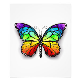 Rainbow butterfly Monarch Fototryck