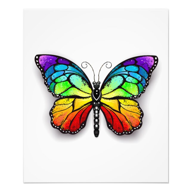 Rainbow butterfly Monarch Fototryck (Framsidan)