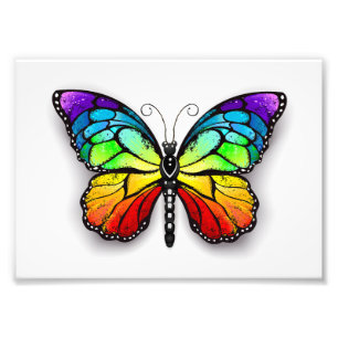Rainbow butterfly Monarch Fototryck