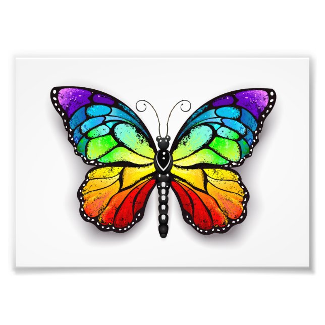 Rainbow butterfly Monarch Fototryck (Framsidan)