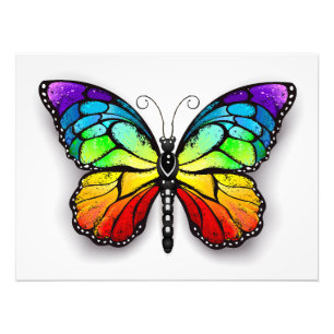 Rainbow butterfly Monarch Fototryck
