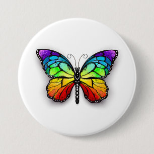 Rainbow butterfly Monarch Knapp