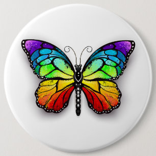 Rainbow butterfly Monarch Knapp