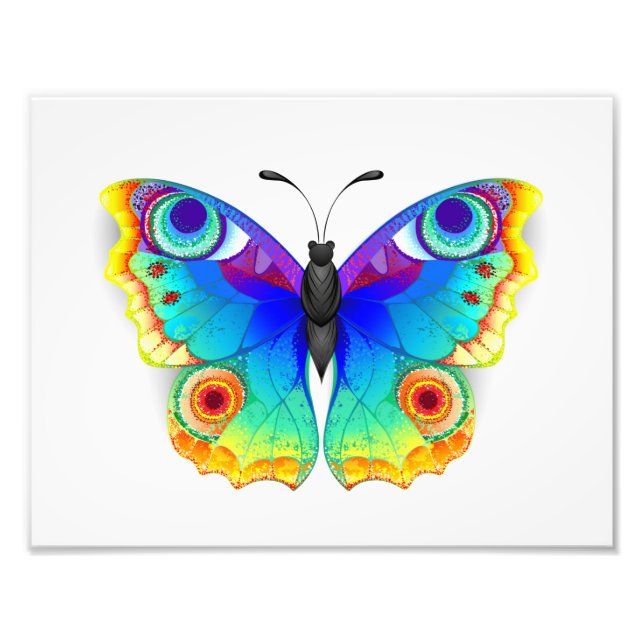 Rainbow Butterfly Peacock Öga Fototryck (Framsidan)
