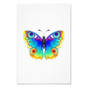 Rainbow Butterfly Peacock Öga Fototryck