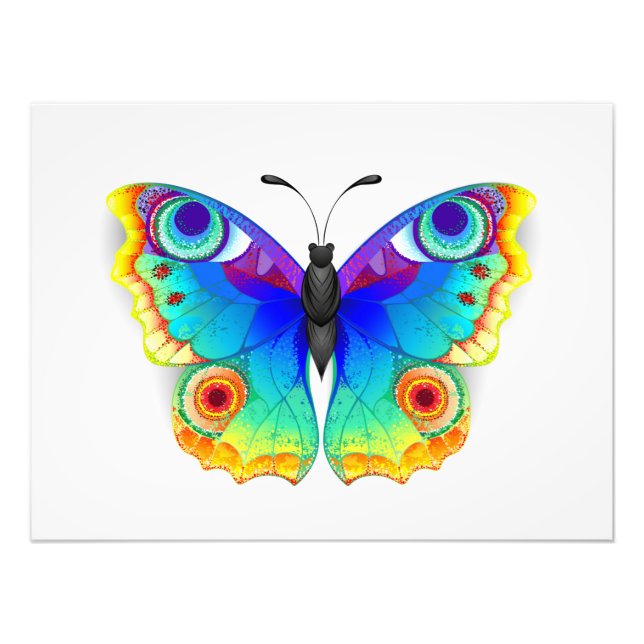 Rainbow Butterfly Peacock Öga Fototryck (Framsidan)