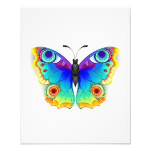 Rainbow Butterfly Peacock Öga Fototryck