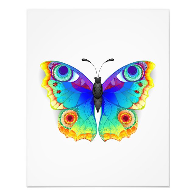Rainbow Butterfly Peacock Öga Fototryck (Framsidan)