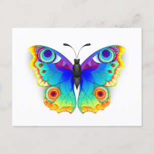 Rainbow Butterfly Peacock Öga Helg Vykort