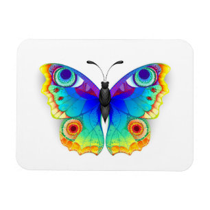 Rainbow Butterfly Peacock Öga Magnet