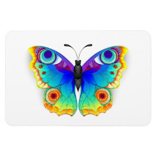 Rainbow Butterfly Peacock Öga Magnet