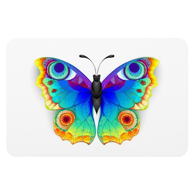Rainbow Butterfly Peacock Öga Magnet (Horisontell)