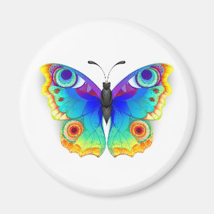 Rainbow Butterfly Peacock Öga Magnet